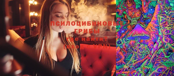 ГАЛЛЮЦИНОГЕННЫЕ ГРИБЫ Балабаново