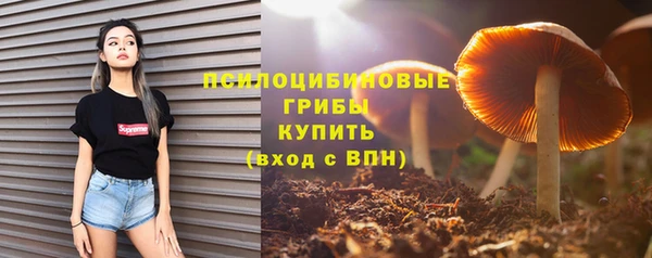 кокс Армянск