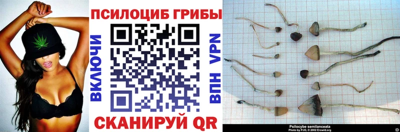 Галлюциногенные грибы ЛСД  цена наркотик  Очёр 